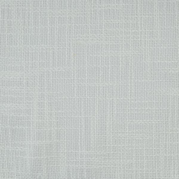PATI - Image 3